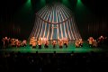 Mini Stars Circus 3D  34